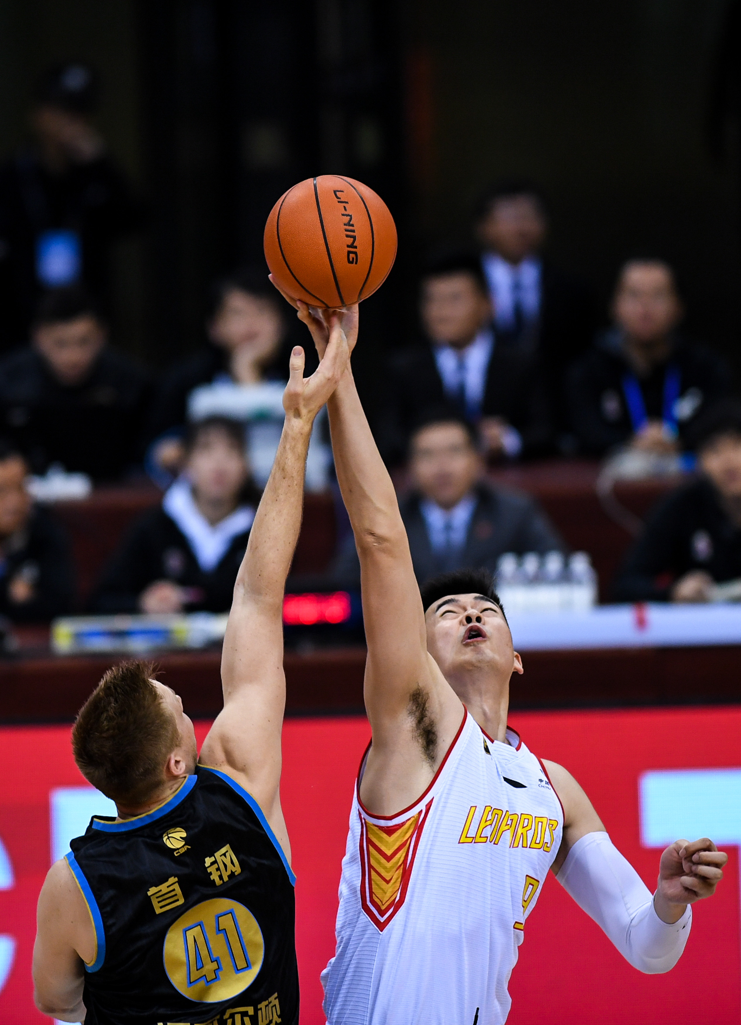 是雄鹿围绕 是雄鹿围绕